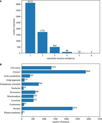 DPPN-SVM: Computational Identification of Mis-Localized Proteins in Cancers by Integrating Differential Gene Expressions With Dynamic Protein-Protein Interaction Networks